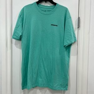Large Patagonia tshirt, mint color